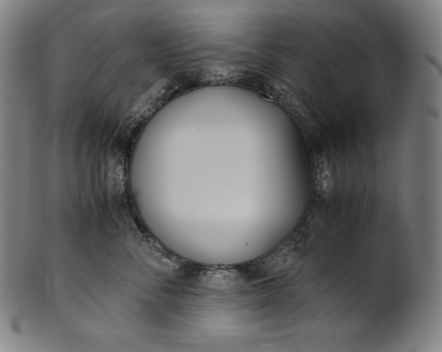 X0000101190716200807110944