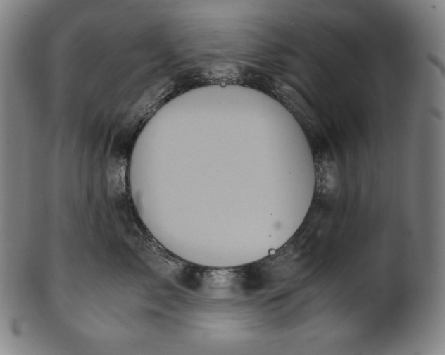 X0000101190717200807110944