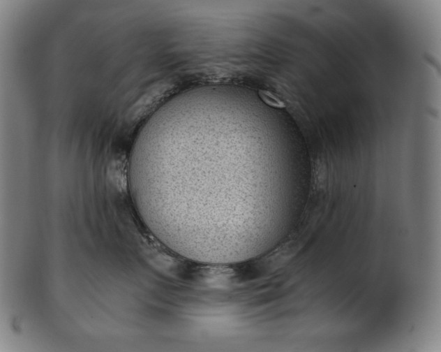 X0000101190719200807110944