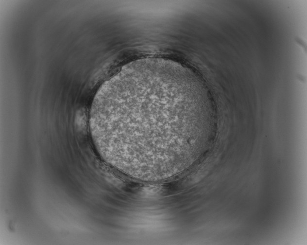 X0000101190720200807110944