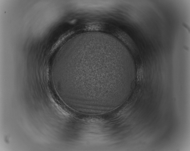 X0000101190722200807110944