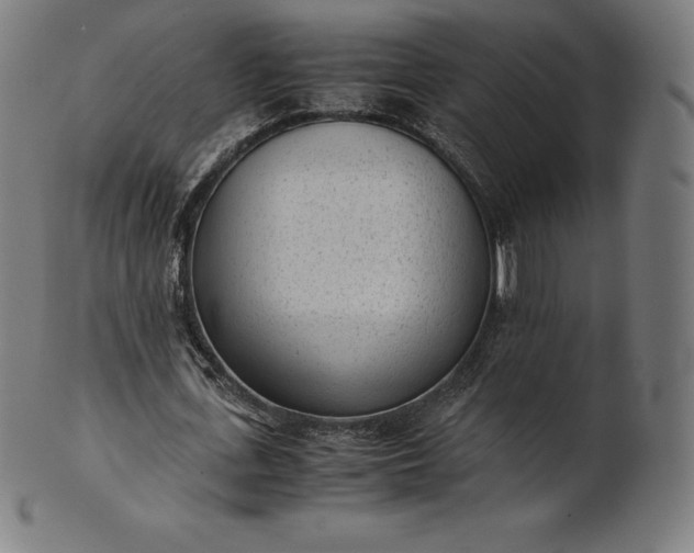 X0000101190723200807110944