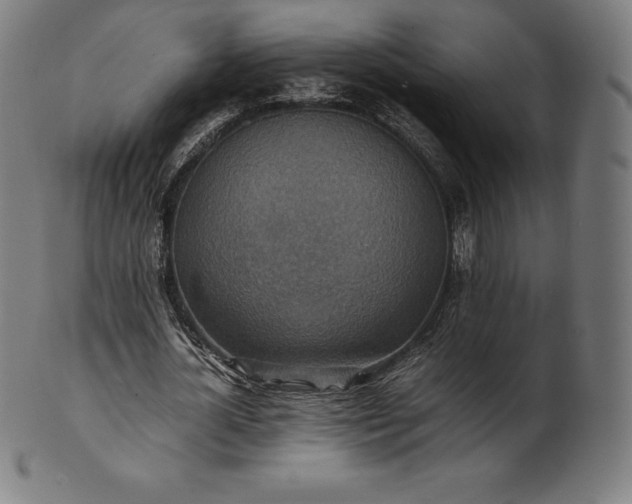 X0000101190724200807110944