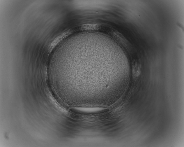 X0000101190725200807110944