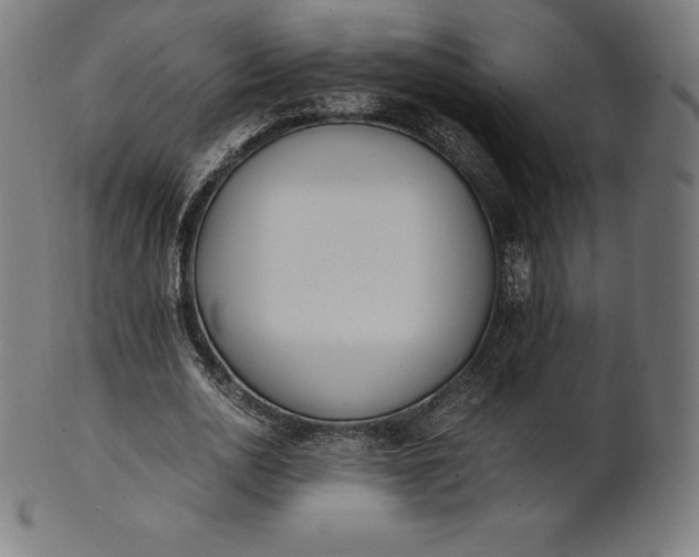 X0000101190726200807110944