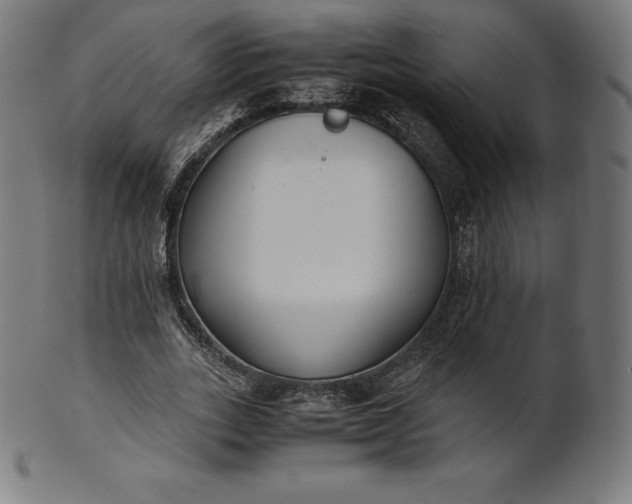 X0000101190727200807110944