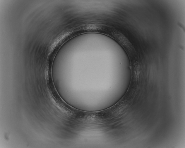 X0000101190728200807110944
