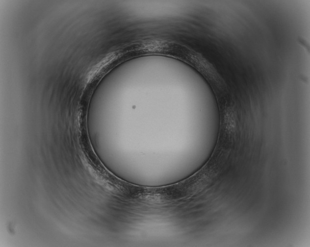 X0000101190730200807110944