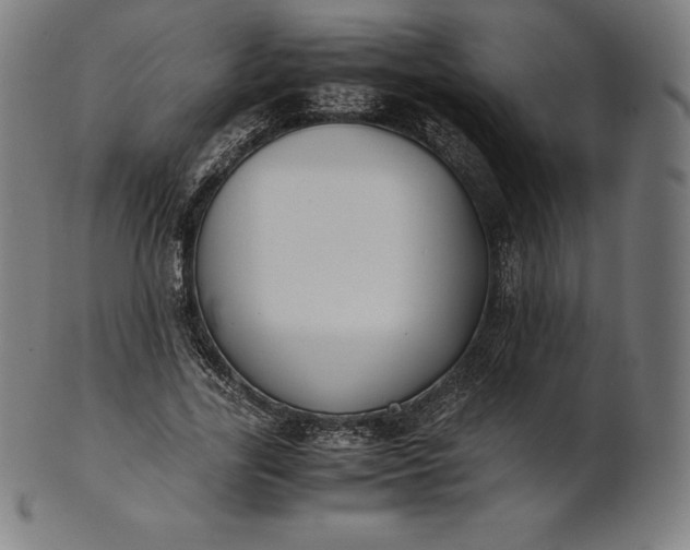 X0000101190731200807110944