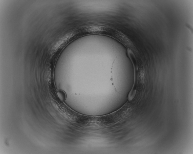 X0000101190732200807110944