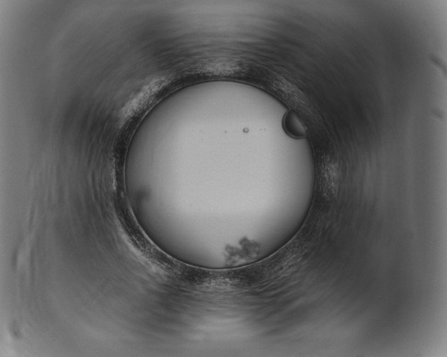 X0000101190734200807110944