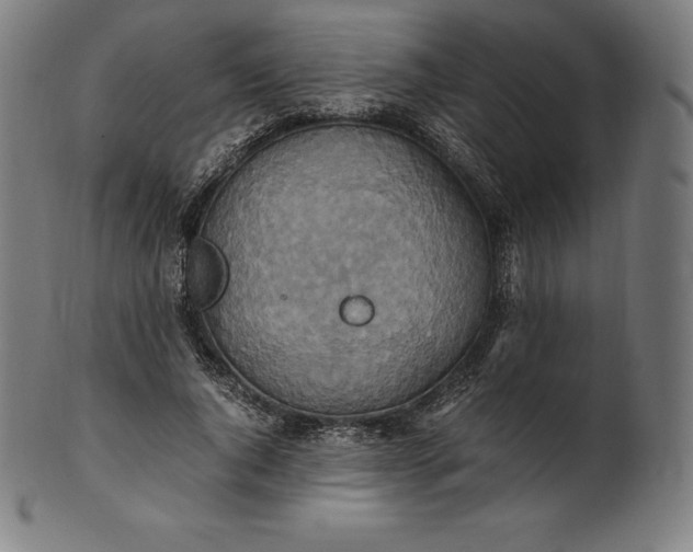 X0000101190736200807110944