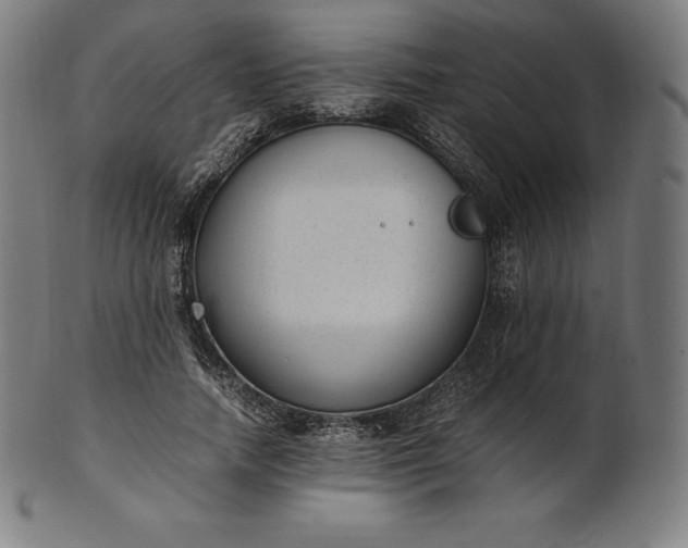 X0000101190738200807110944