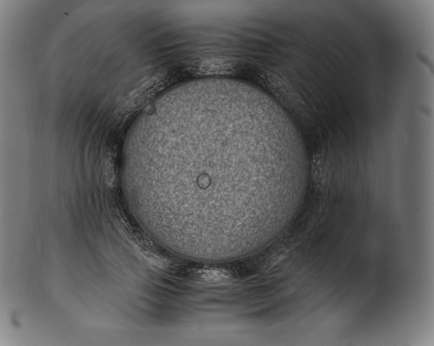 X0000101190741200807110944
