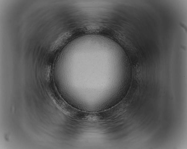 X0000101190742200807110944