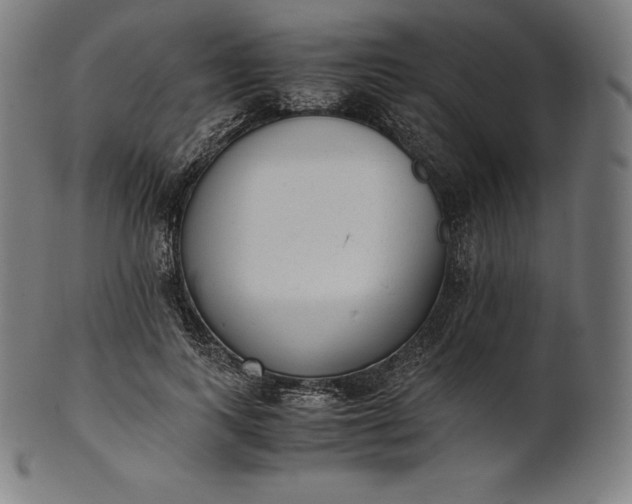 X0000101190743200807110944