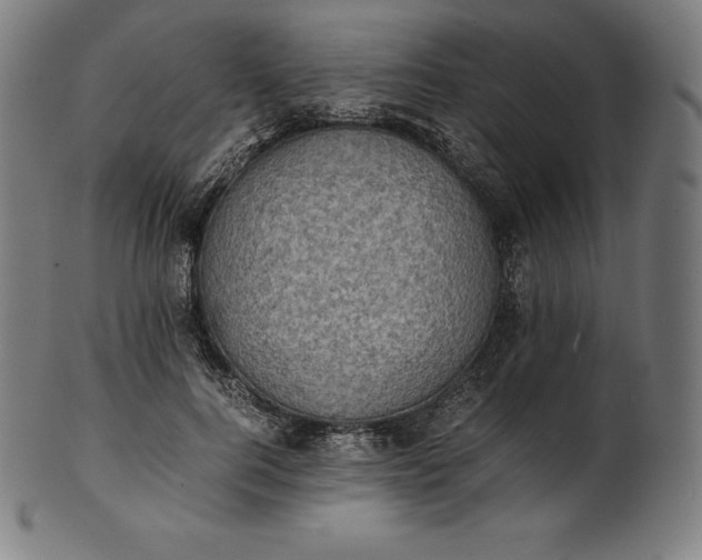 X0000101190744200807110944