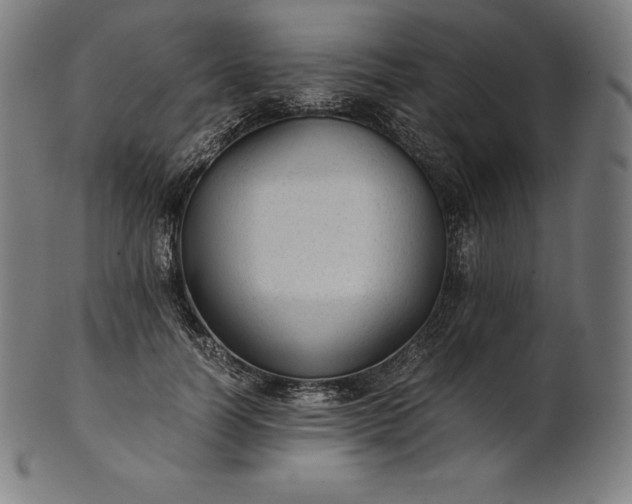 X0000101190746200807110944