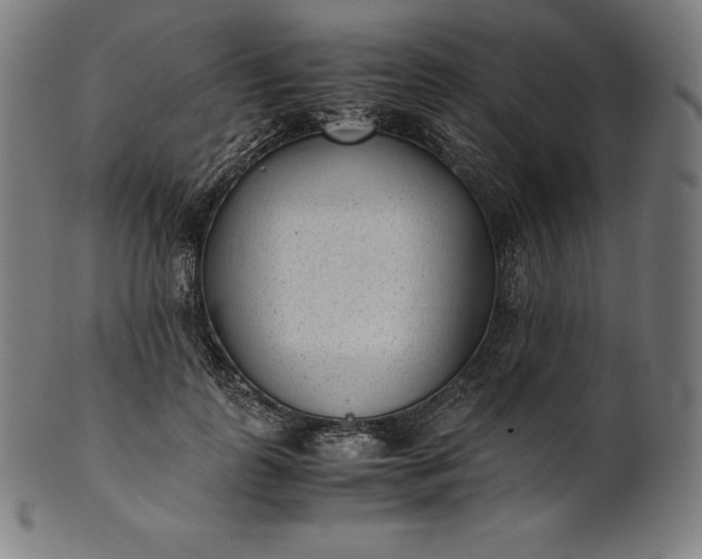 X0000101190747200807110944
