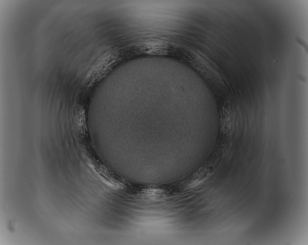 X0000101190748200807110944