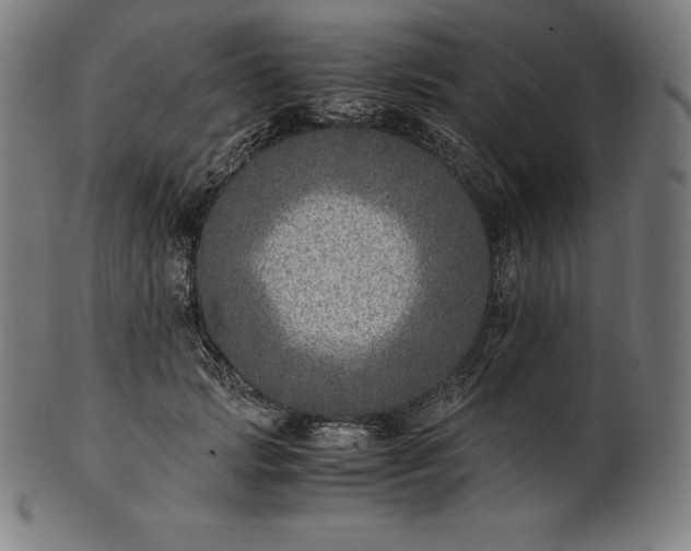 X0000101190749200807110944