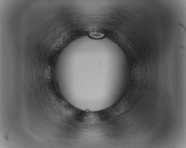 X0000101190750200807110944