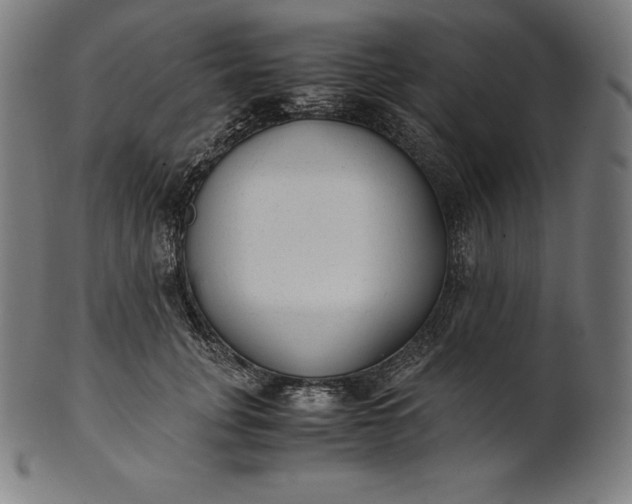 X0000101190751200807110944