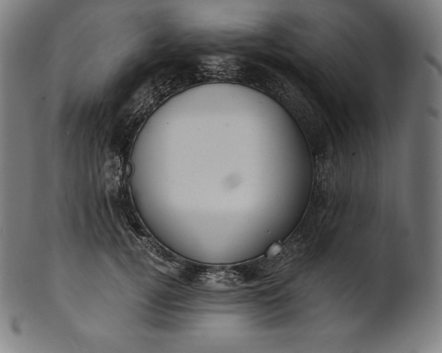 X0000101190752200807110944