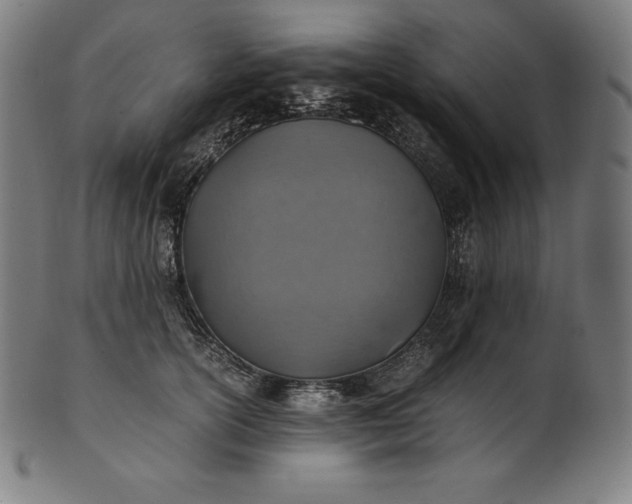 X0000101190754200807110944