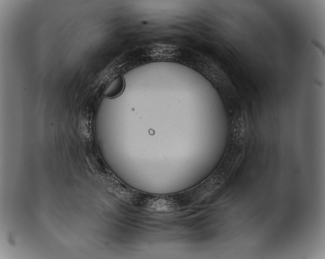 X0000101190755200807110944