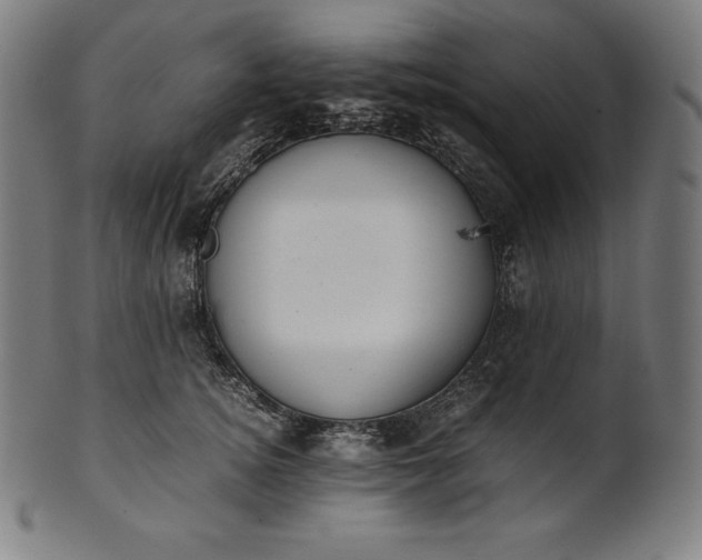 X0000101190756200807110944