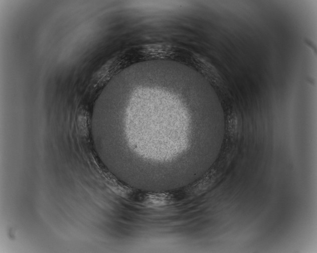 X0000101190757200807110944