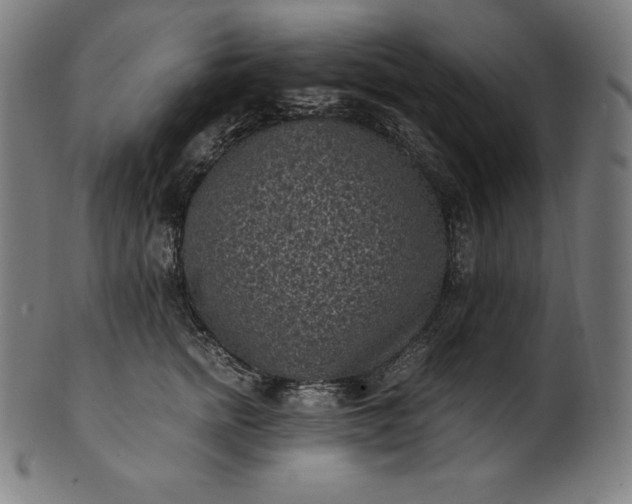 X0000101190758200807110944