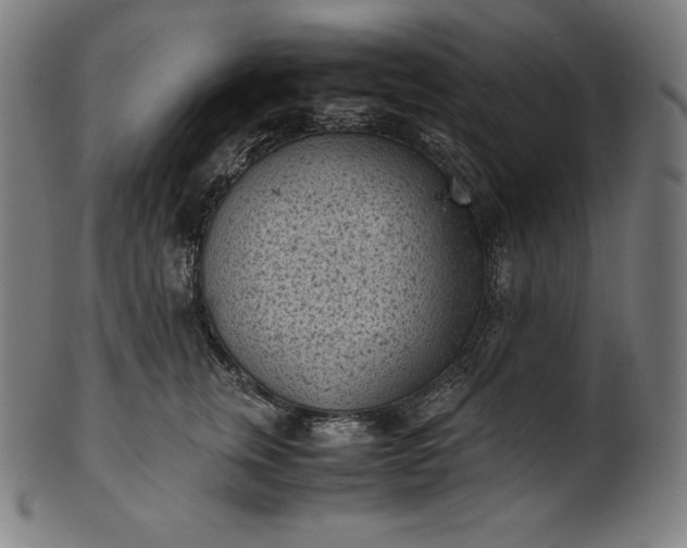 X0000101190759200807110944