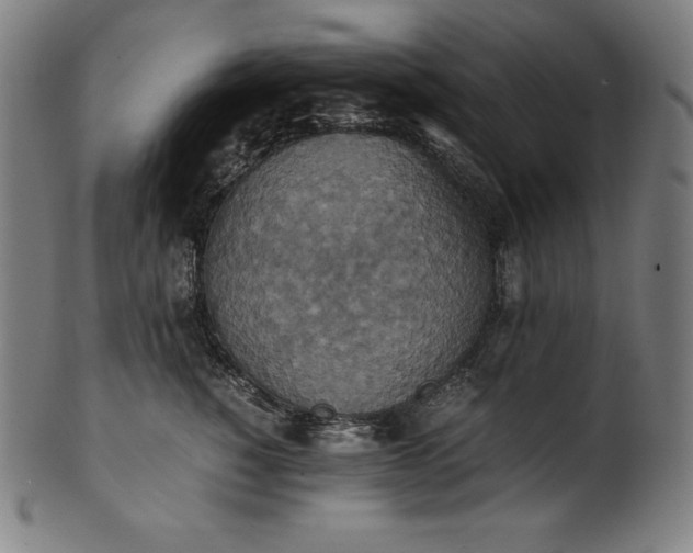 X0000101190760200807110944