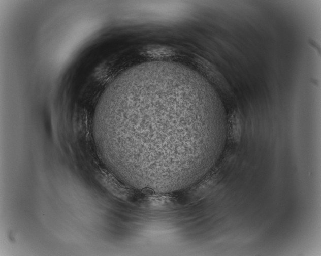 X0000101190762200807110944