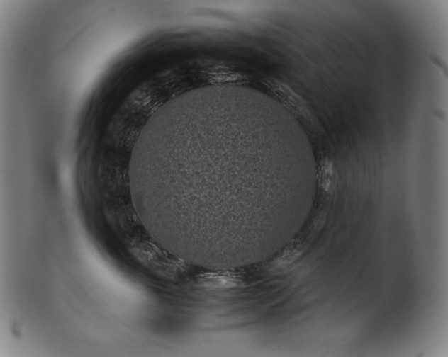 X0000101190763200807110944