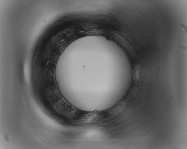 X0000101190764200807110944