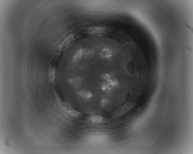 X0000101190767200807110944