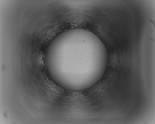 X0000101190770200807110944