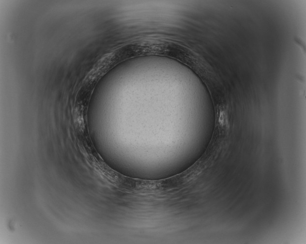 X0000101190771200807110944
