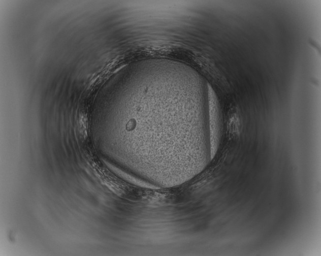X0000101190772200807110944