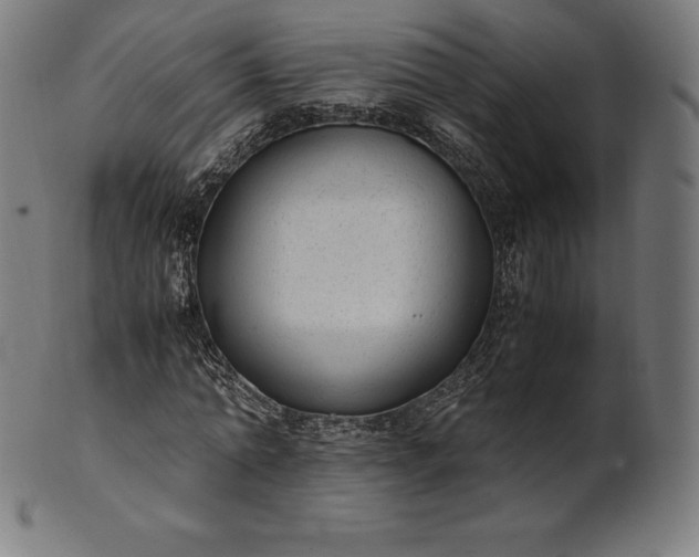 X0000101190774200807110944