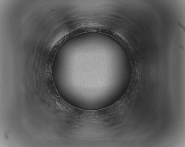 X0000101190775200807110944