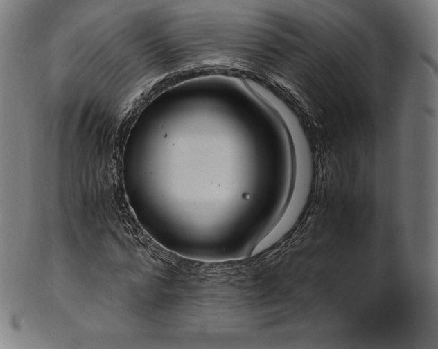 X0000101190776200807110944