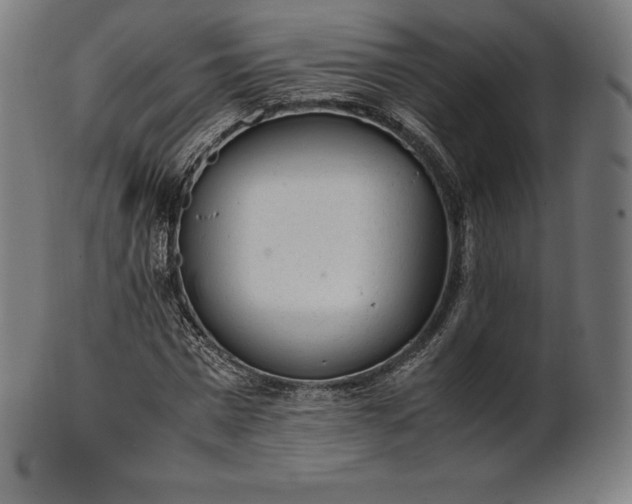 X0000101190777200807110944