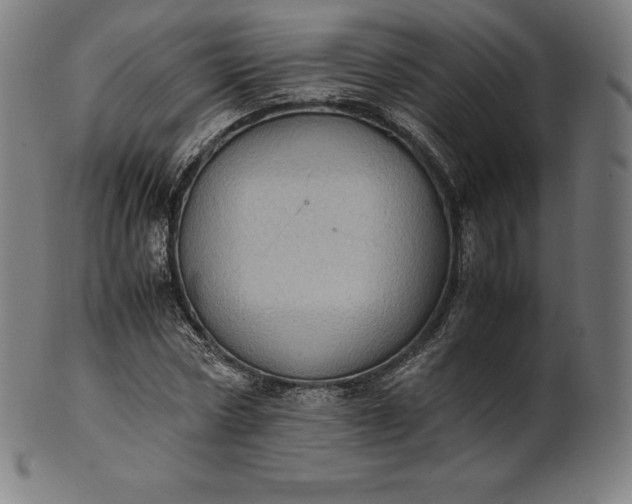 X0000101190778200807110944