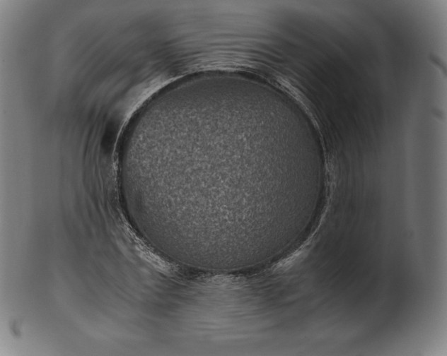 X0000101190779200807110944