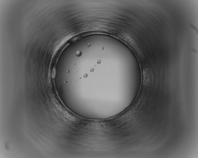 X0000101190780200807110944