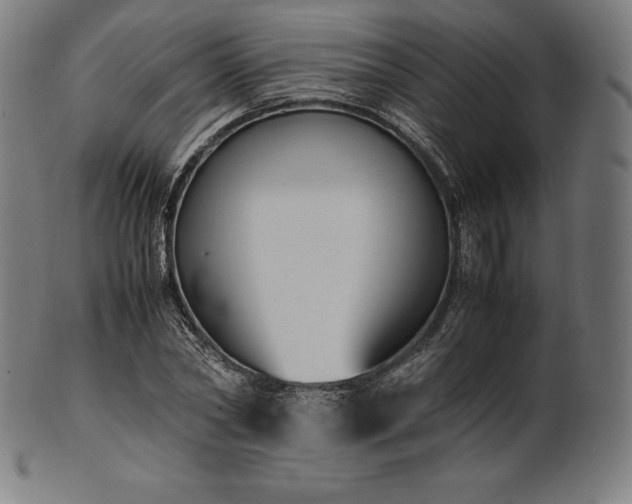 X0000101190782200807110944